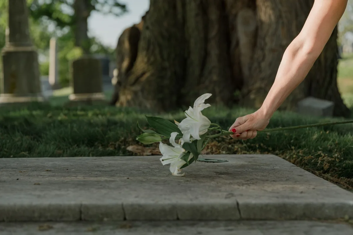 A hand laying white lilies on a flat stone grave under a large tree