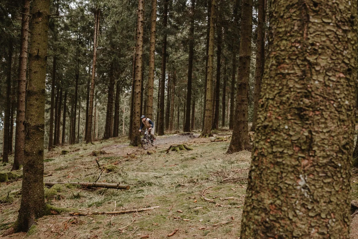 A mountain biker riding a dirt trail between tall conifer trees in a forest